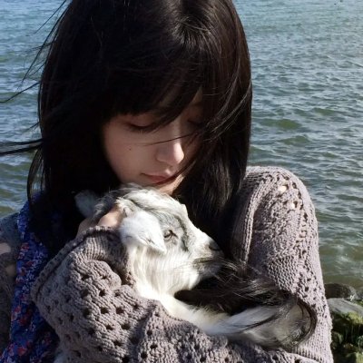 泰山王子