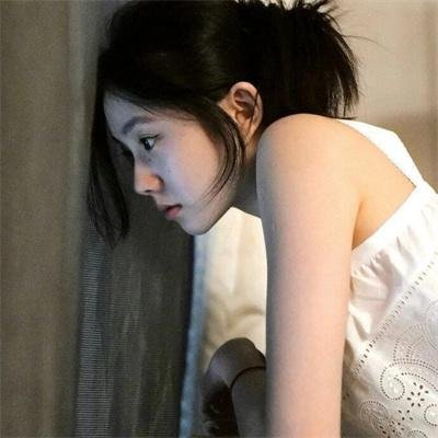 我的朋友是萌鲨
