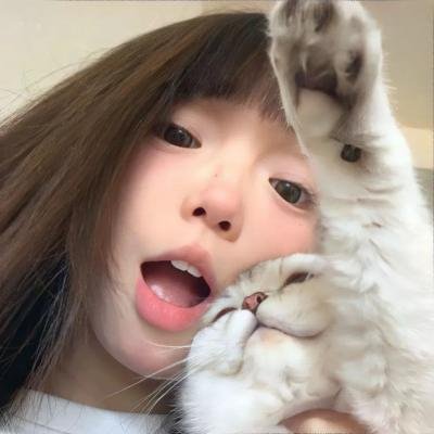 魔法灵猫
